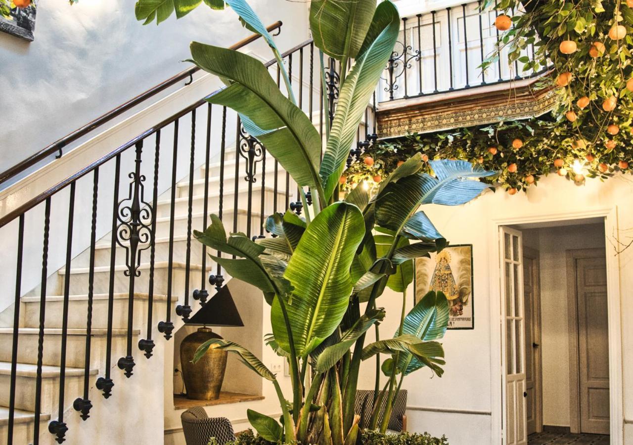 Casa Rural Casa Levante Arcos de la Frontera Zewnętrze zdjęcie